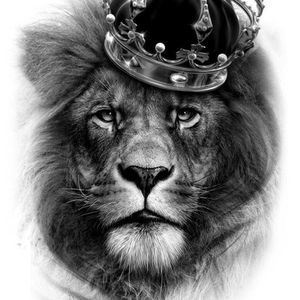 Meet your Posher, Phoenix